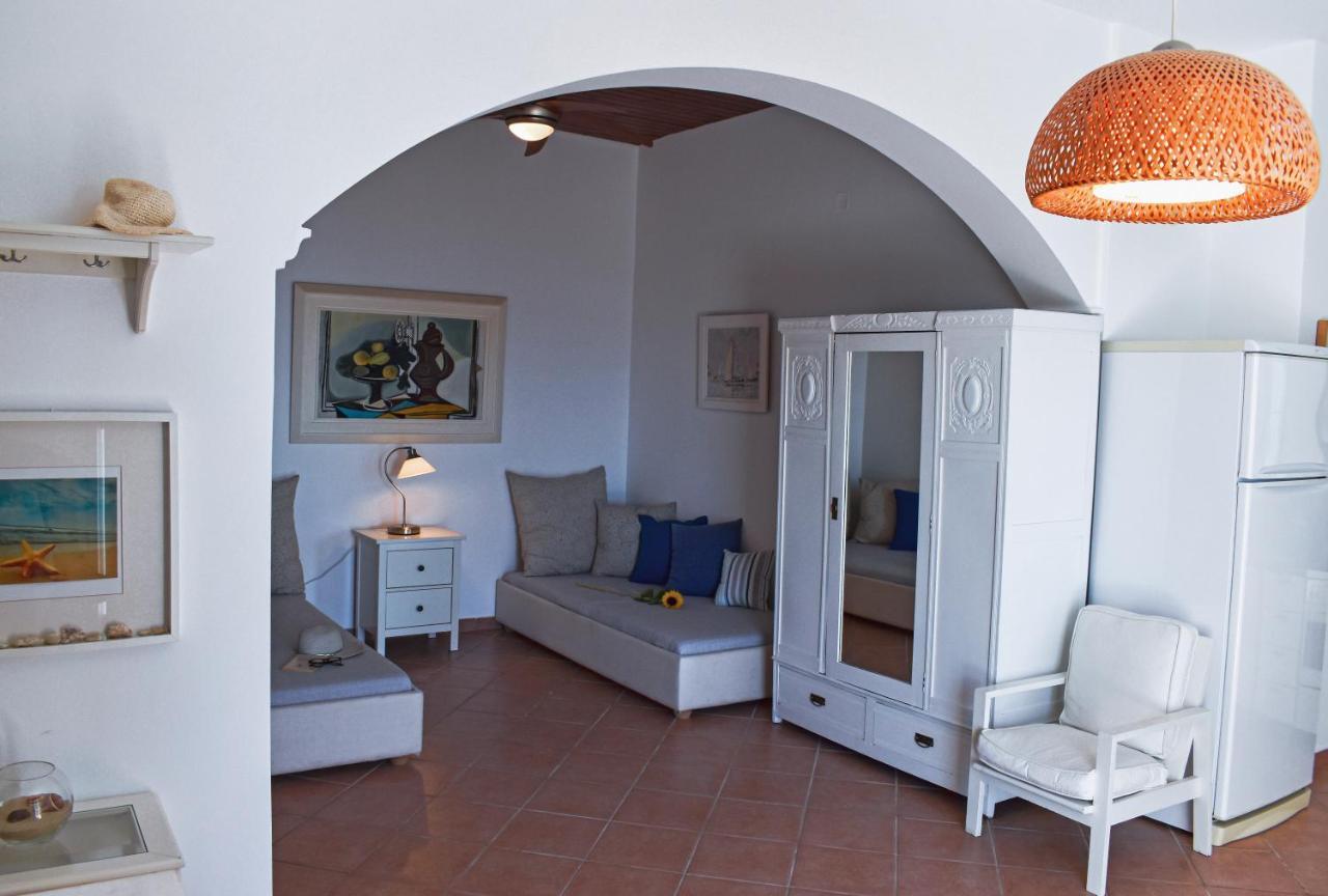 Rozia Syros Luxury Livingヴィラ エクステリア 写真