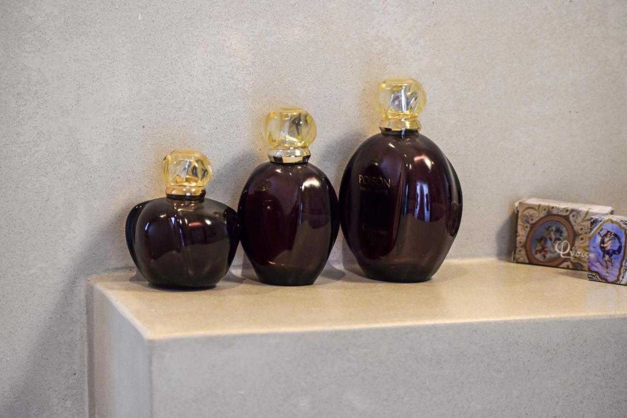 Rozia Syros Luxury Livingヴィラ エクステリア 写真